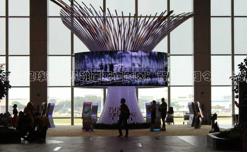 球速体育官网百度网盘揭秘足球运动员跳崖死亡原因：背后真相令人震惊