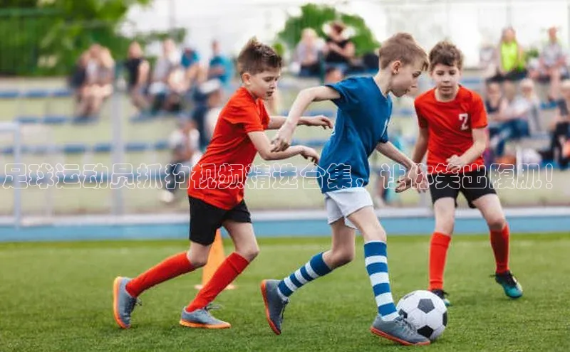 球速app官方入口文心一言足球运动员抓狗视频精选合集，让你笑出腹肌！