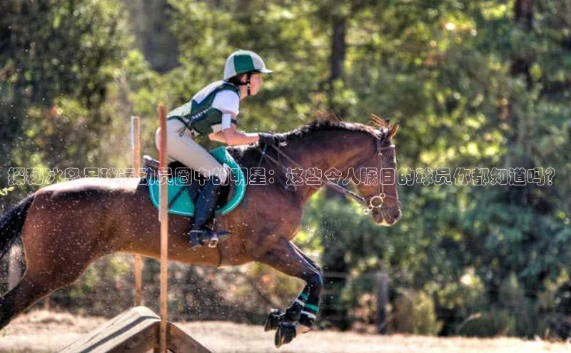 球速体育app登录入口汉得信息探秘冰岛足球运动员圈中的明星：这些令人瞩目的球员你都知道吗？