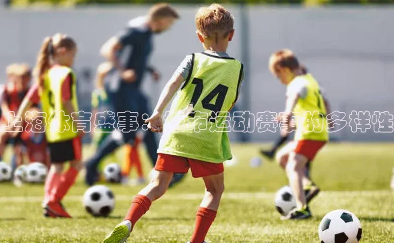 球速体育app度小满理财上海体育盛事：城市运动赛事的多样性