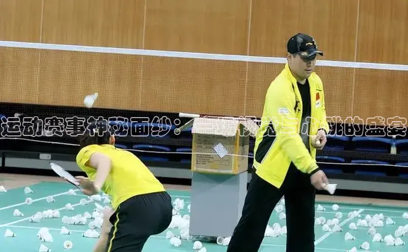 球速体育登录入口猫眼运动赛事神秘面纱：一场视觉与心跳的盛宴