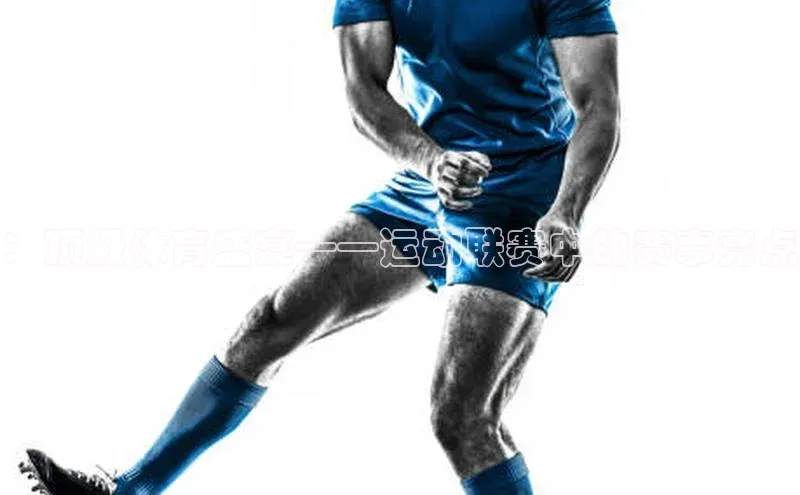 球速体育58同城：顶级体育盛宴——运动联赛中的赛事亮点