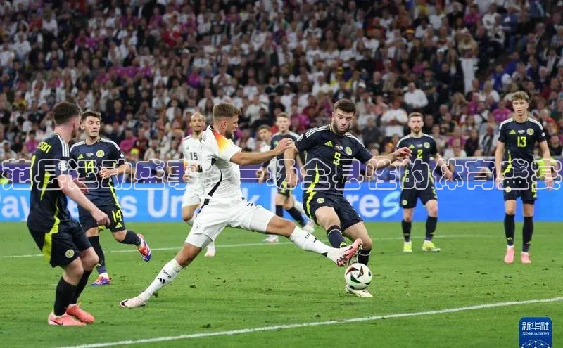 范县运动盛事：一场全县性的体育盛宴