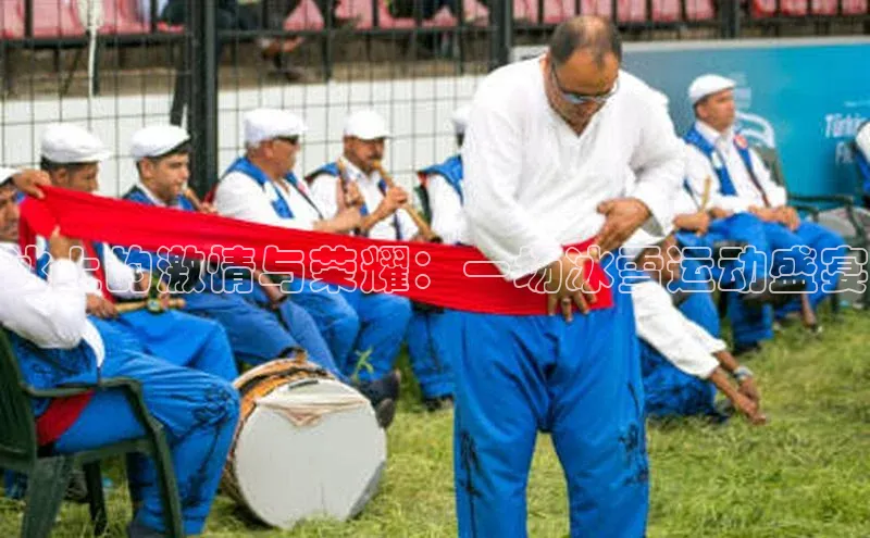 冰上的激情与荣耀：一场冰雪运动盛宴