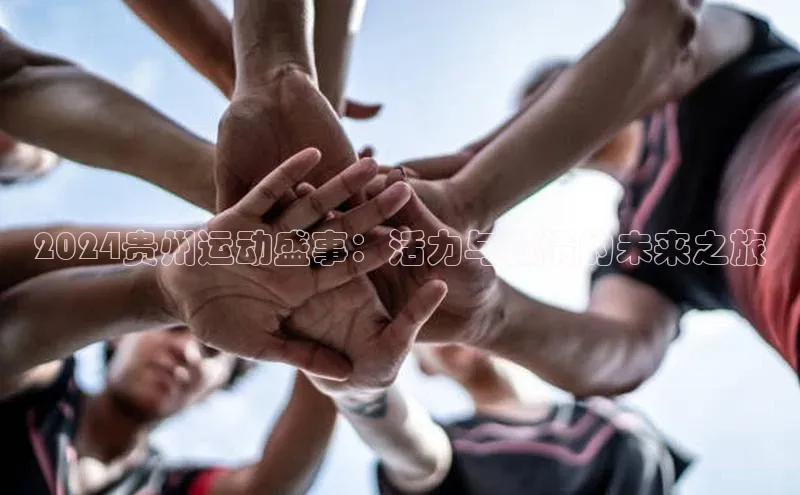 2024贵州运动盛事：活力与激情的未来之旅