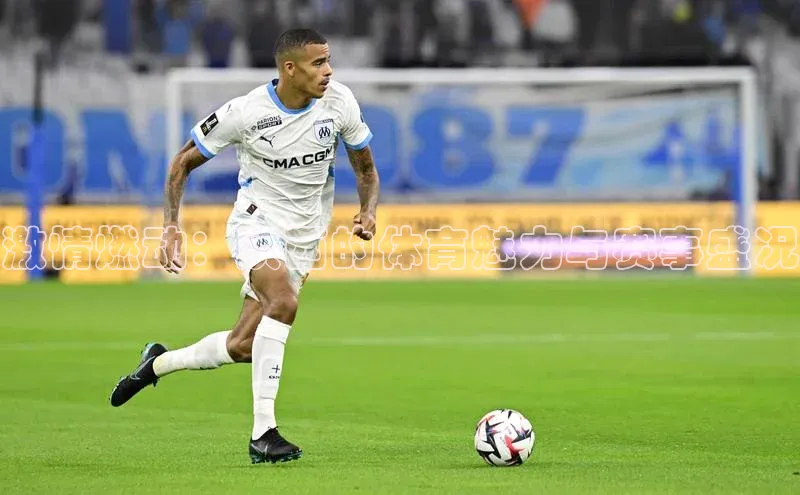 激情燃动：陕西的体育魅力与赛事盛况