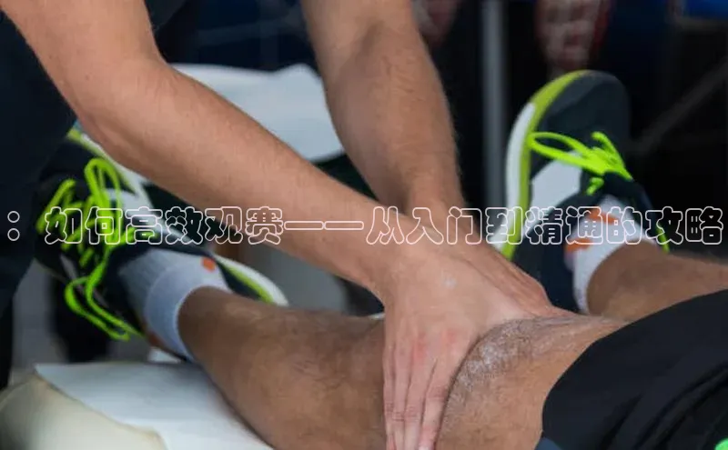 ：如何高效观赛——从入门到精通的攻略