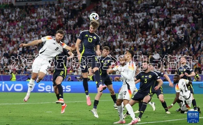 冰雪运动赛事全类别与指南