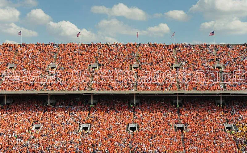 赛事亮点：从开始到终点的精彩瞬间回顾