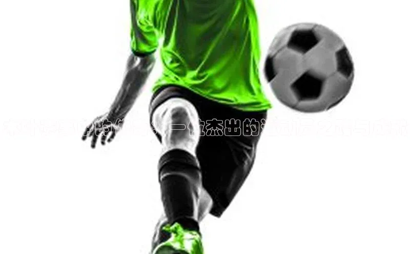 木叶赛事中的传奇：一位杰出的运动员之路与成就