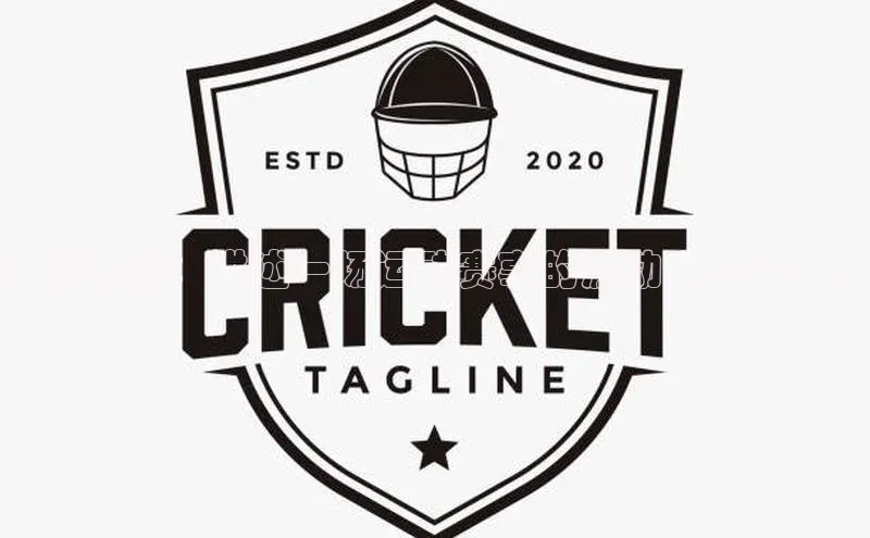 激情燃情：讲述一场运动赛事的激动人心的故事