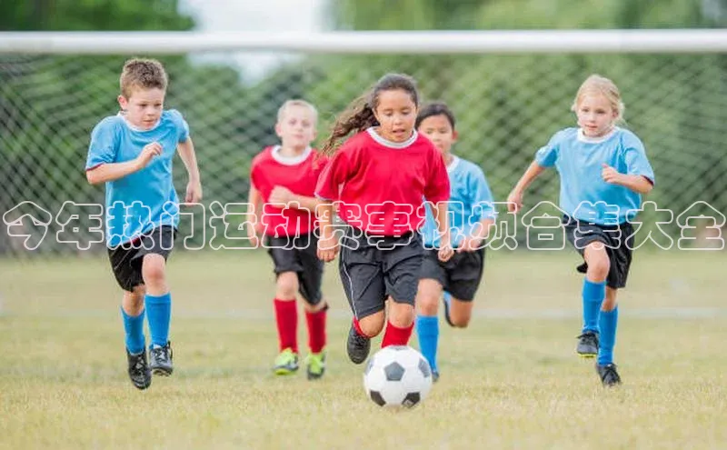 今年热门运动赛事视频合集大全