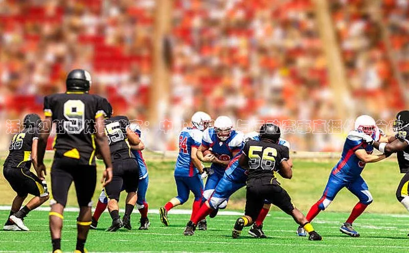 活力四射的体育盛宴：中小学生参与运动赛事直播体验分享