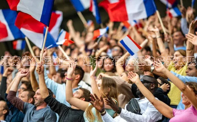 河南省级运动会：地方体育发展的多元表现