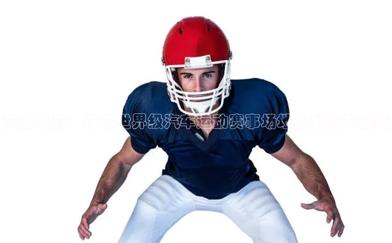 赛道风云：打造世界级汽车运动赛事场地的挑战与创新