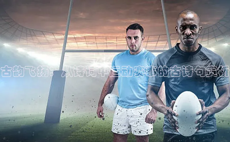 速球体育官方入口地址