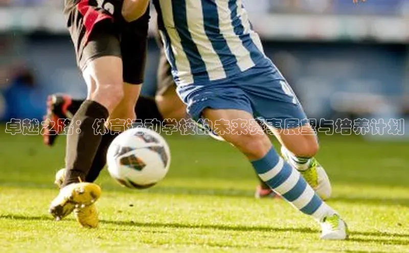 球速体育网页版登陆入口