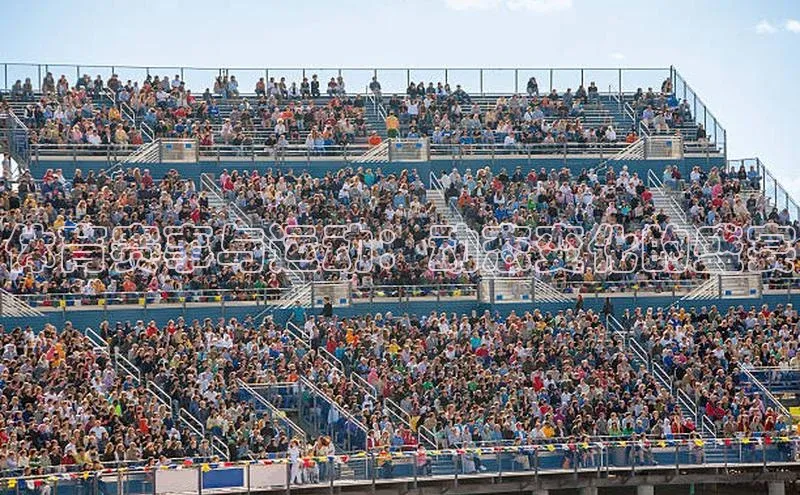 体育赛事与运动：动态变化的盛宴