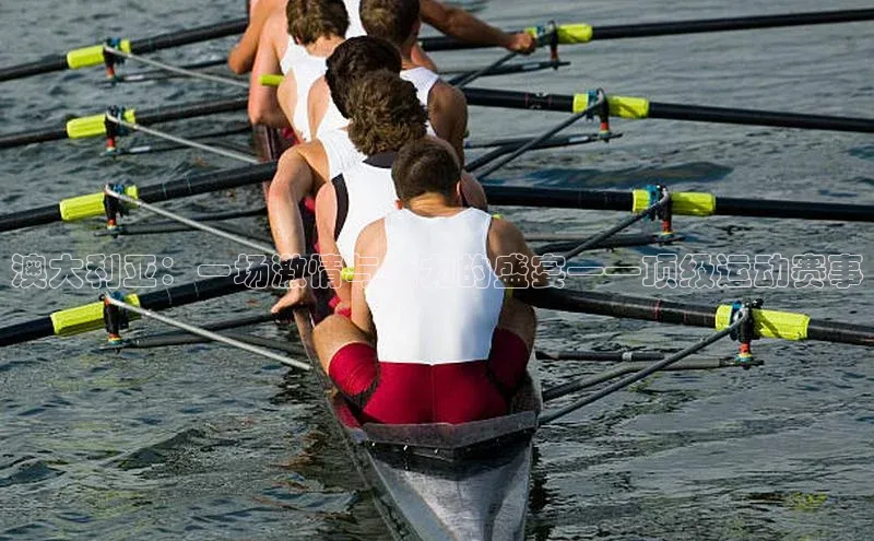 球速体育下载安装