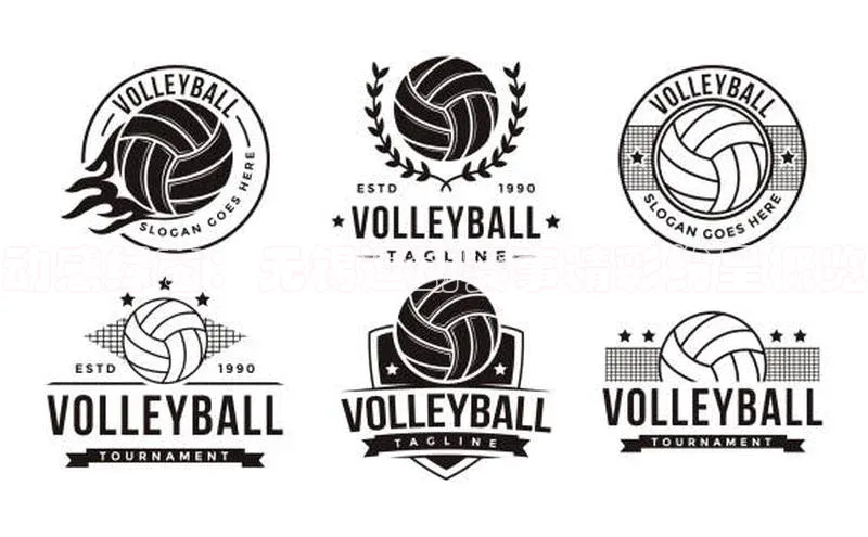 球速体育app下载