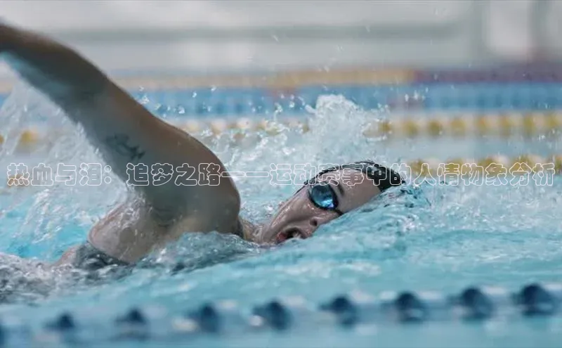 速球体育官方入口地址