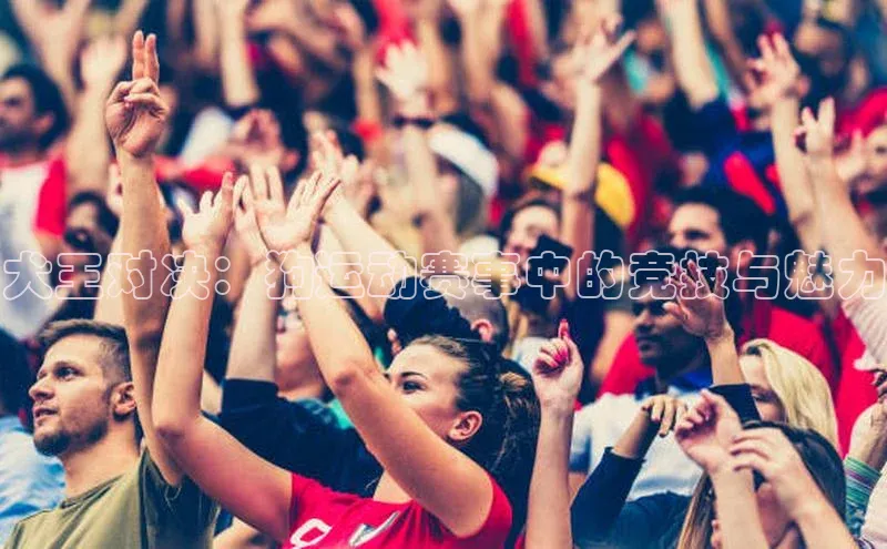 球速app官方入口